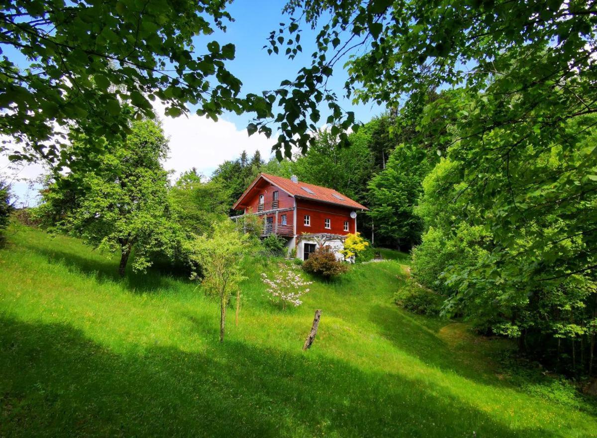 Ferienwohnung Am Woid - Herrliche Alleinlage - Vegane Einrichtung Waldkirchen Exterior foto