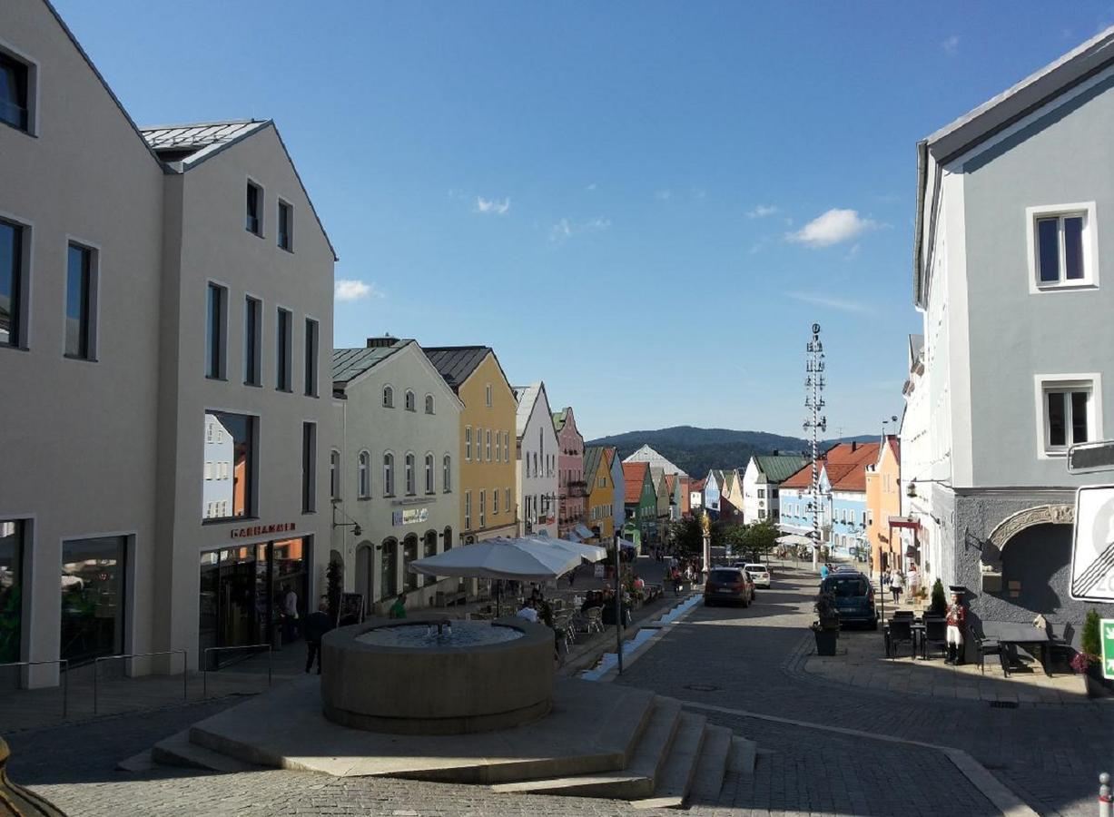 Ferienwohnung Am Woid - Herrliche Alleinlage - Vegane Einrichtung Waldkirchen Exterior foto