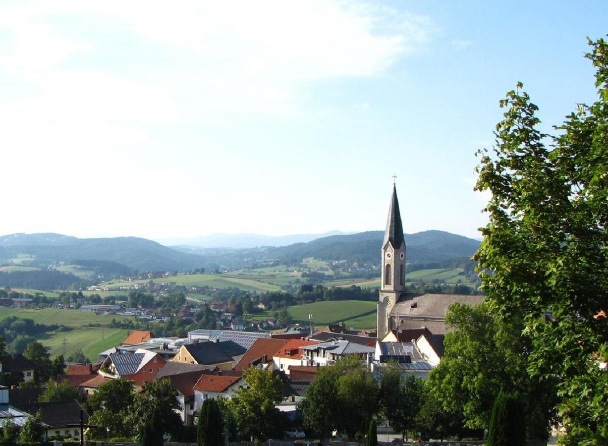 Ferienwohnung Am Woid - Herrliche Alleinlage - Vegane Einrichtung Waldkirchen Exterior foto